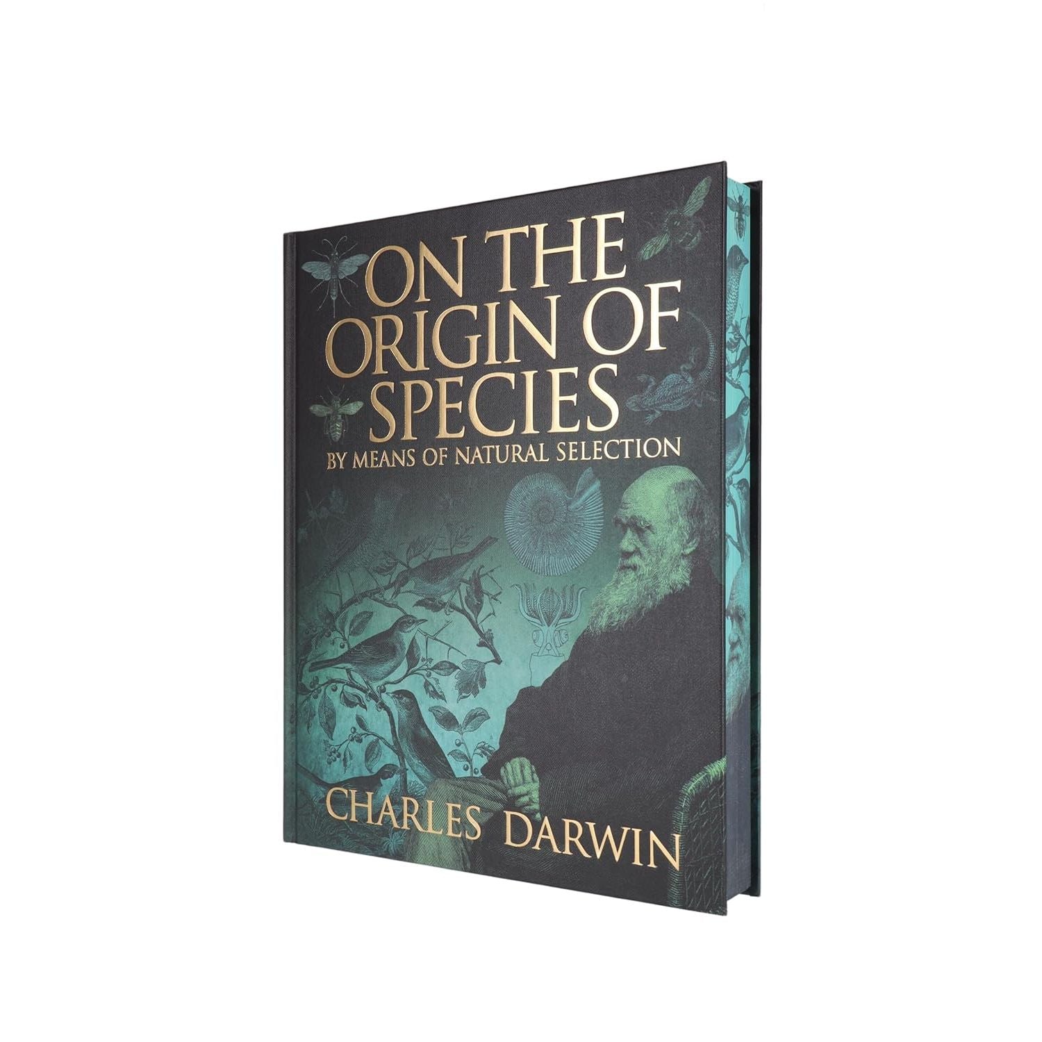 On the Origin of Species by Charles Darwin (Arcturus Epic Classics)