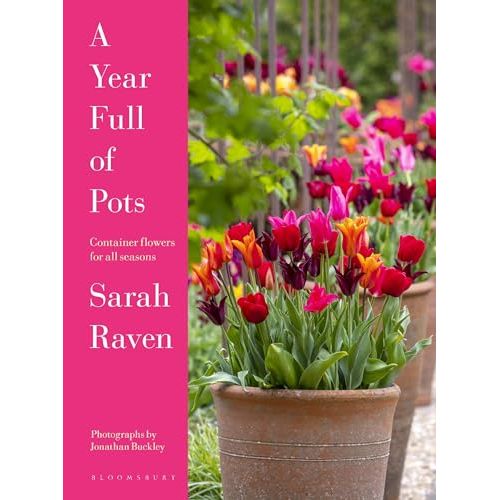A Year Full of Pots: Container Flowers for All Seasons