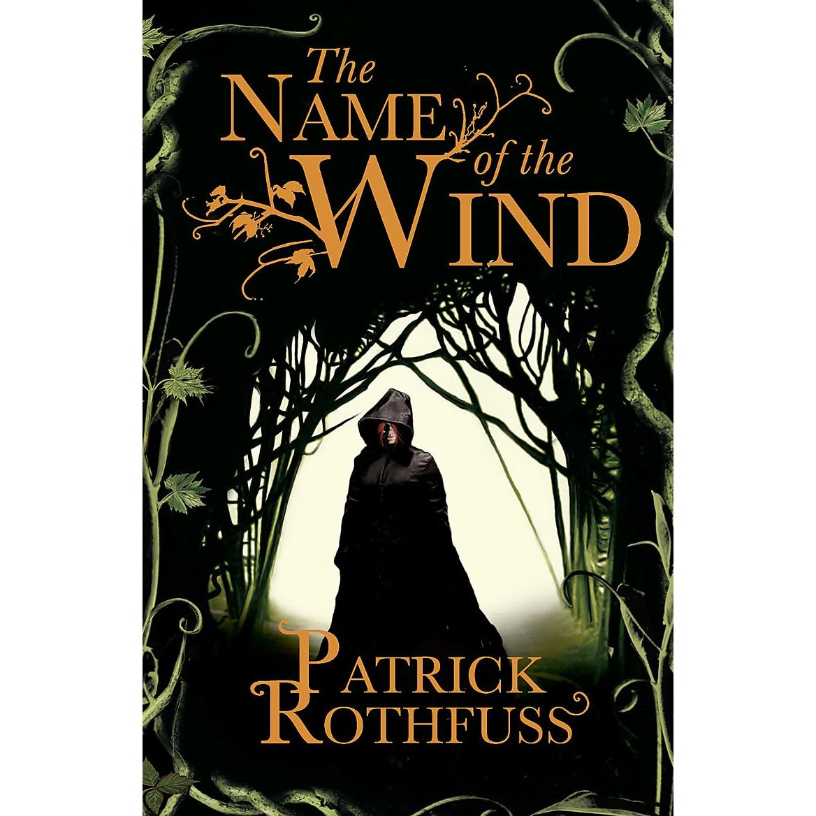 The Name of the Wind (The Kingkiller Chronicle)