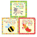 Usborne Baby's Very First Collection 3 Books Set By Fiona Watt (Baby's Very First Touchy-feely Book,Animals & Christmas Book)