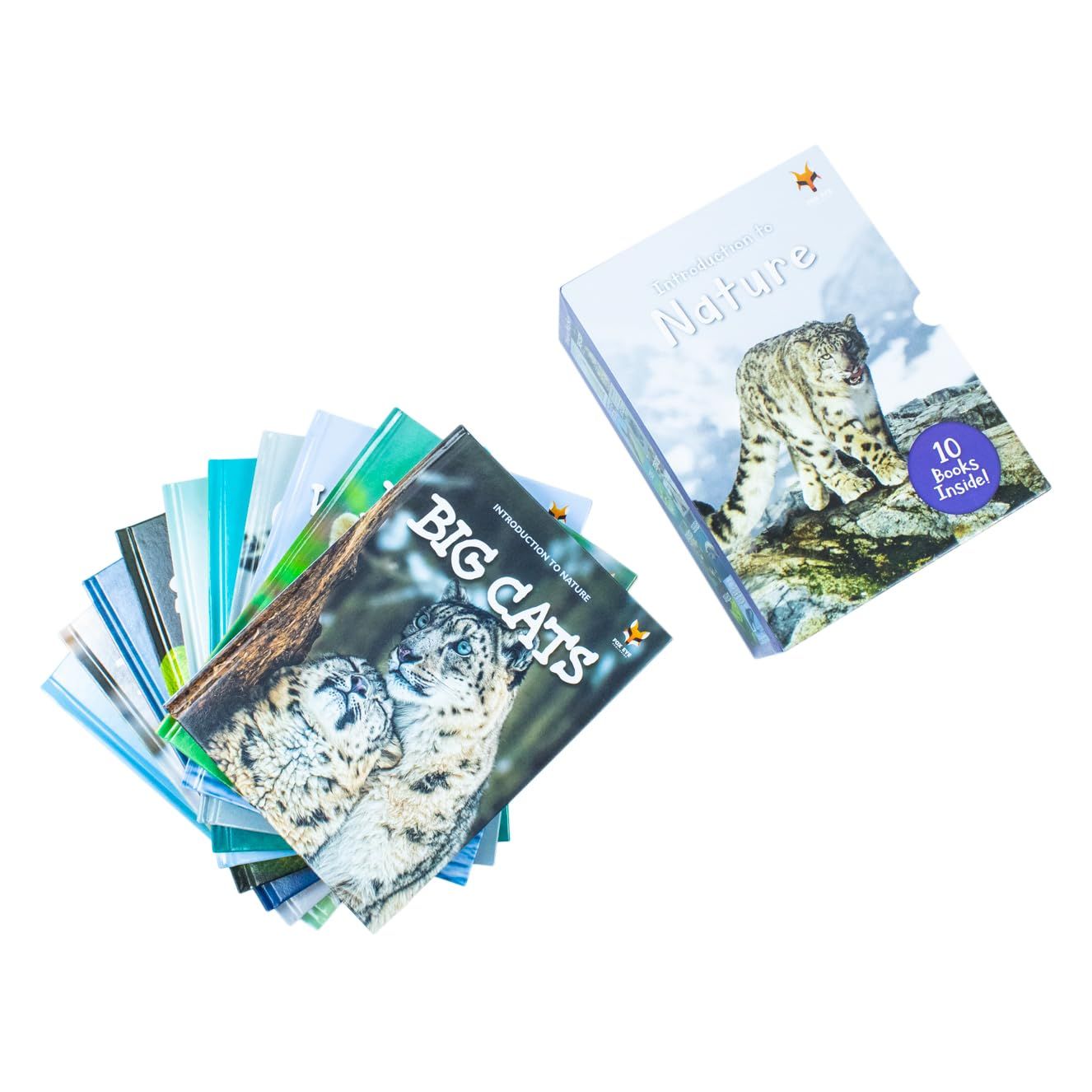 Children Introduction To Nature For Beginners 10 Hardback Books Collection Set (Bear, Big Cats, Birds, Crocodiles And Alligators)