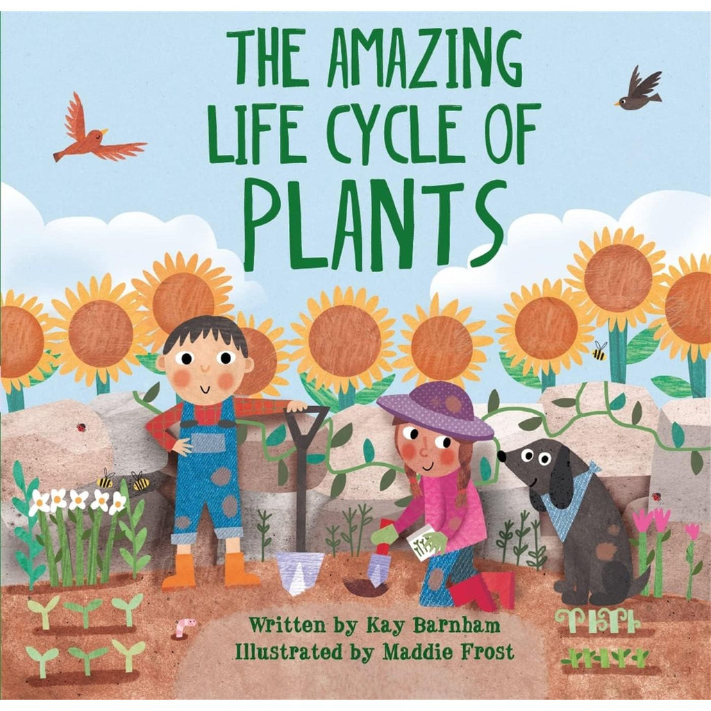 Look and Wonder Series Collection 3 Books Set By Kay Barnham (A Stroll Through the Seasons, The Amazing Life Cycle of Butterflies & The Amazing Plant Life Cycle Story)