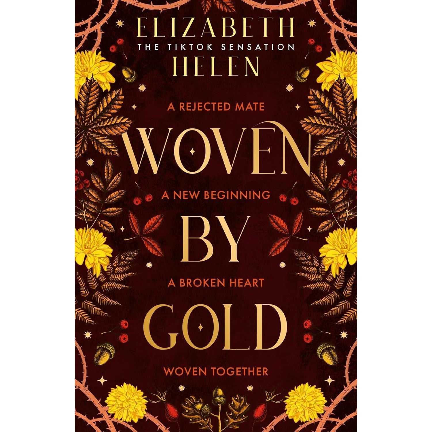 Beasts of the Briar Series 4 Books Collection Set By Elizabeth Helen (Bonded by Thorns, Woven by Gold, Forged by Malice and Broken)