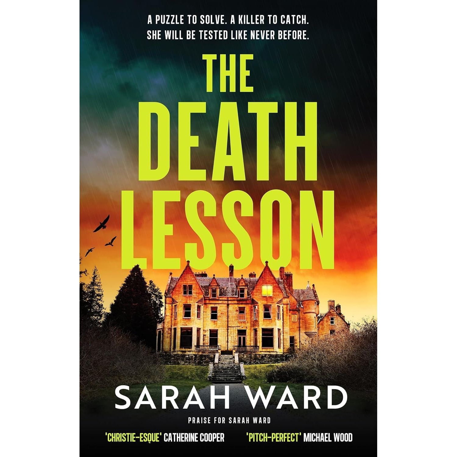 Mallory Dawson & Carla James Crime Thrillers 2 Books Collection Set by Sarah Ward (Quiet Bones & The Death Lesson)