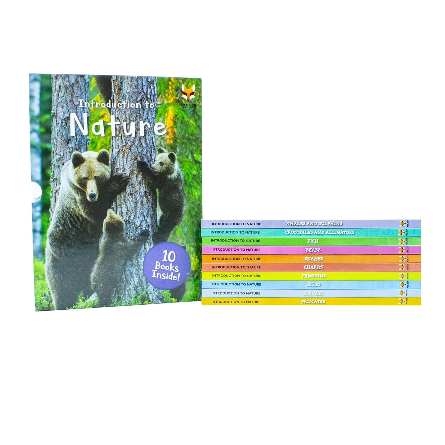 Children Introduction To Nature For Beginners 10 Hardback Books Collection Set (Bear, Big Cats, Birds, Crocodiles And Alligators)