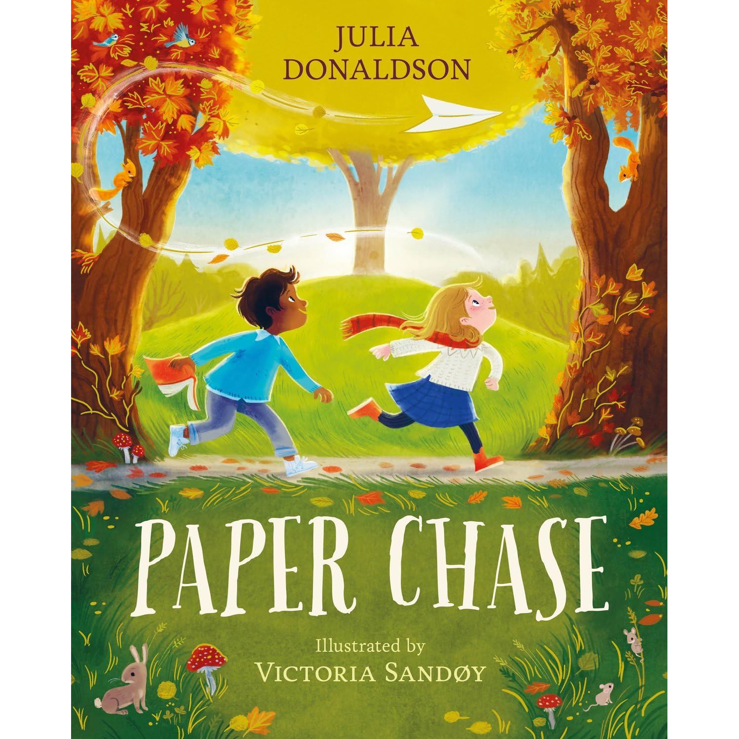 Paper Chase: a captivating story of friendship by Julia Donaldson, author of The Gruffalo and Stick Man