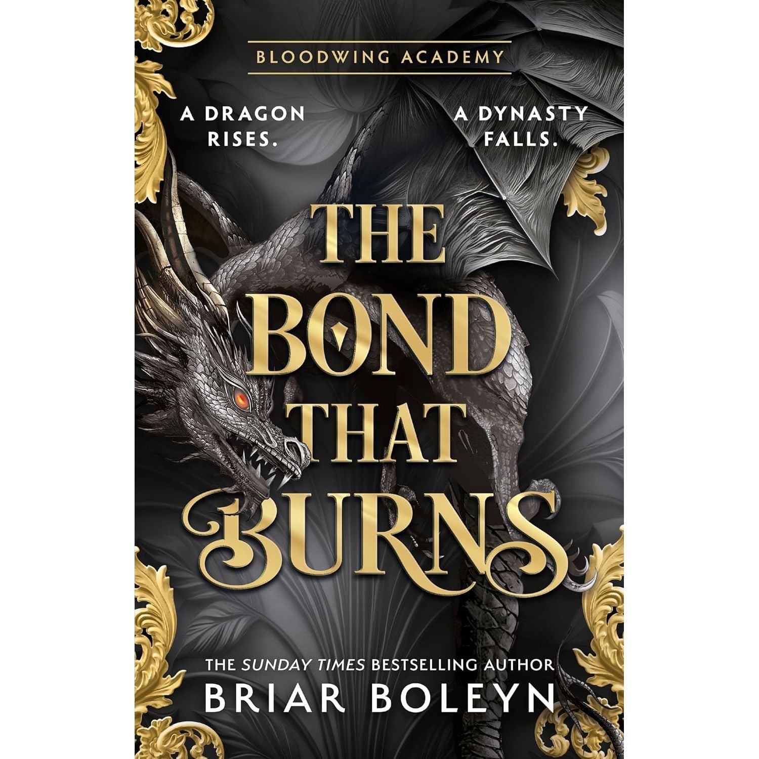 Bloodwing Academy Series 2 Books Collection Set By Briar Boleyn (On Wings Of Blood & The Bond that Burns)