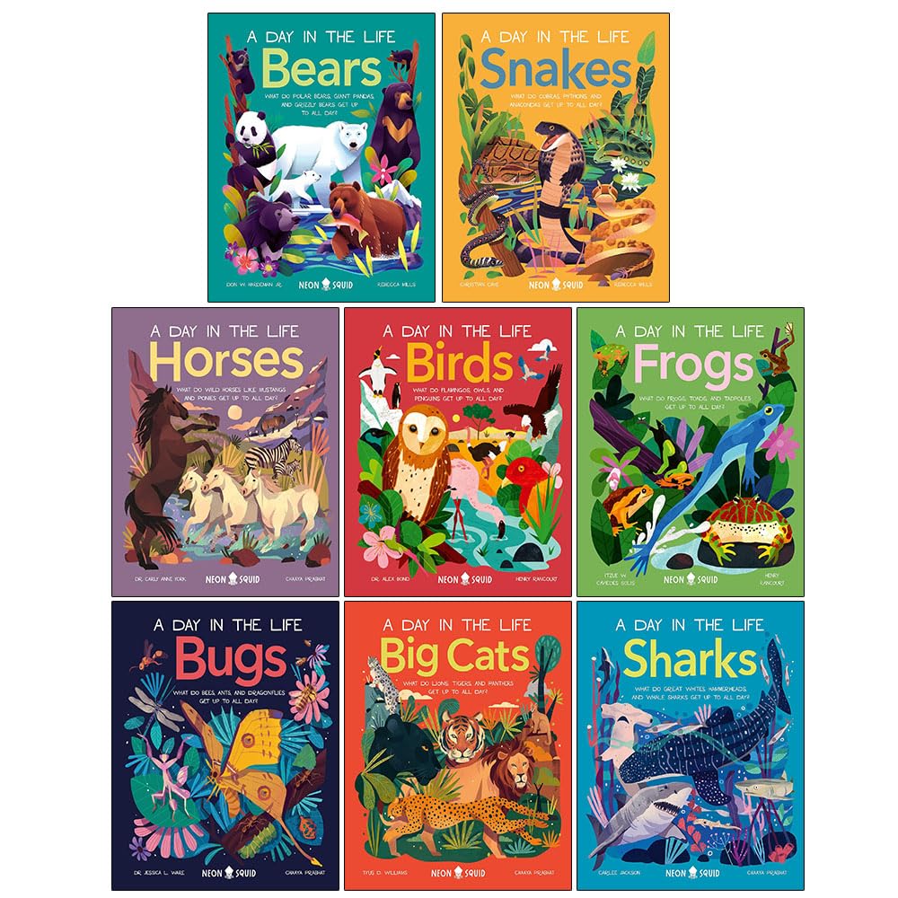 A Day in the Life Series 8 Books Collection Set (Bugs, Big Cats, Sharks, Horses, Birds, Frogs, Bears, Snakes)