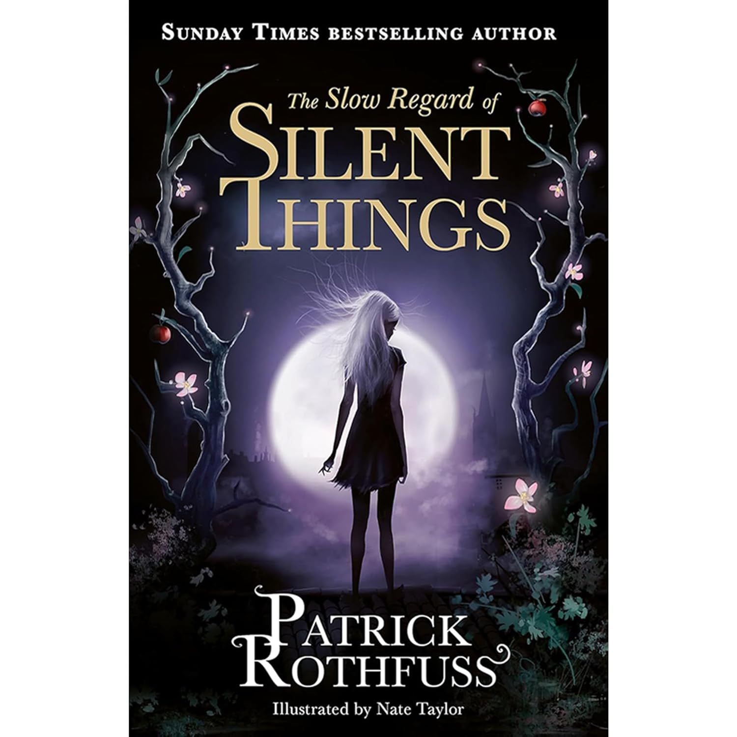 Patrick Rothfuss's Kingkiller Chronicle 4 Books Collection Set (The Name of the Wind, The Wise Man's Fear, More)
