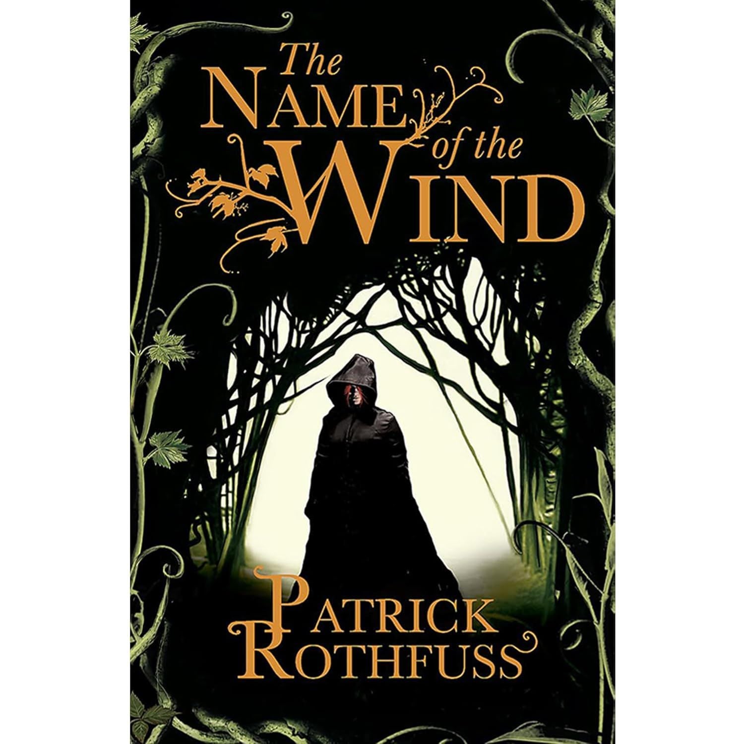 Patrick Rothfuss's Kingkiller Chronicle 4 Books Collection Set (The Name of the Wind, The Wise Man's Fear, More)