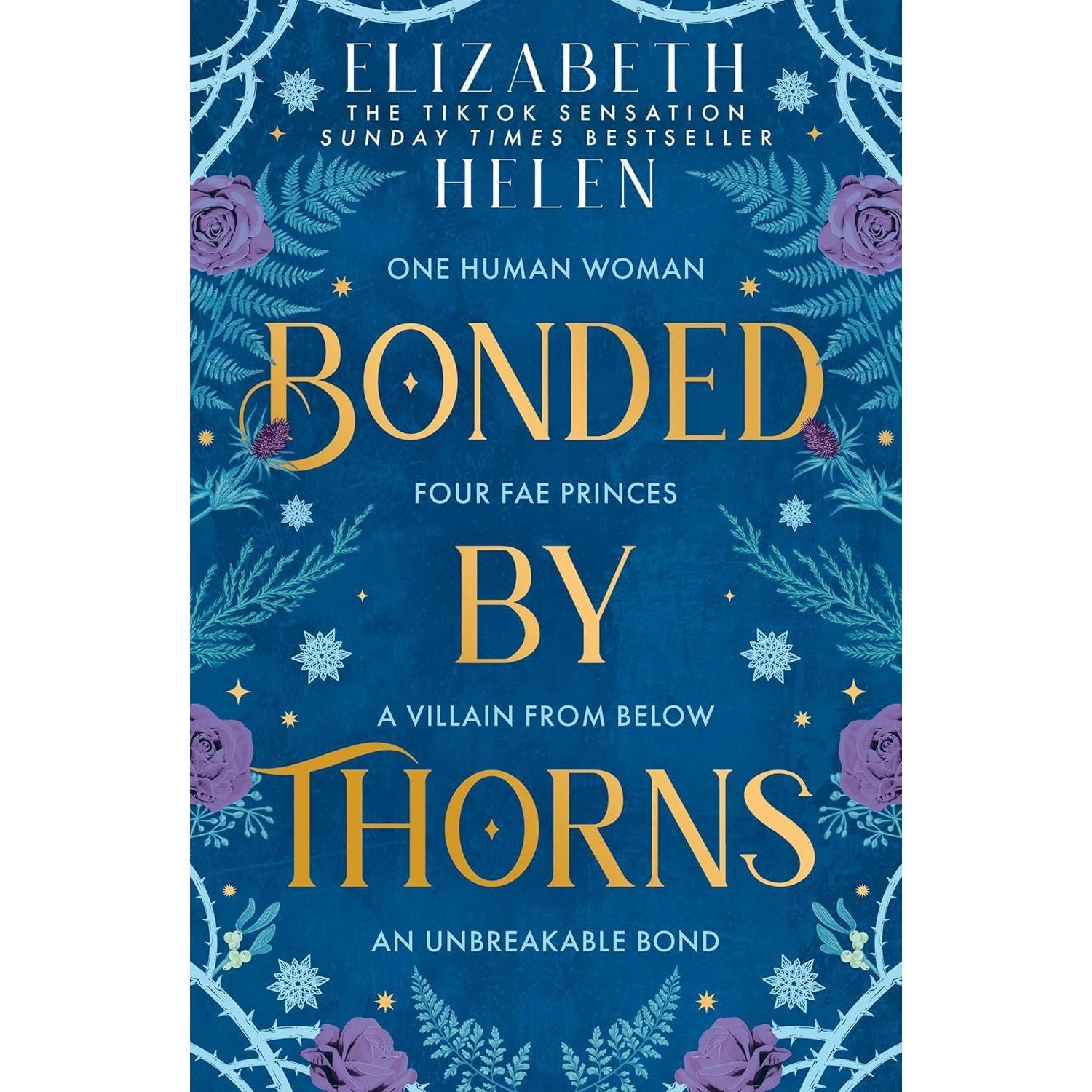 Beasts of the Briar Series 4 Books Collection Set By Elizabeth Helen (Bonded by Thorns, Woven by Gold, Forged by Malice and Broken)