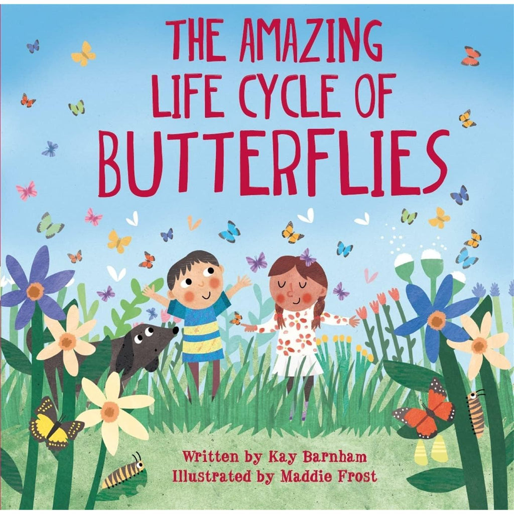 Look and Wonder Series Collection 3 Books Set By Kay Barnham (A Stroll Through the Seasons, The Amazing Life Cycle of Butterflies & The Amazing Plant Life Cycle Story)