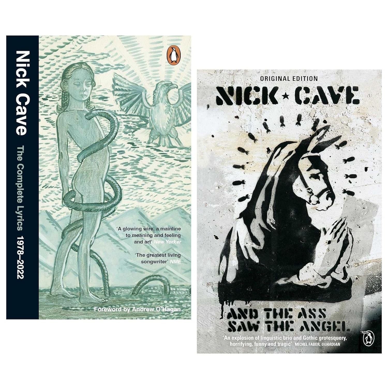 Nick Cave 2 Books Collection Set (And the Ass Saw the Angel & The Complete Lyrics)