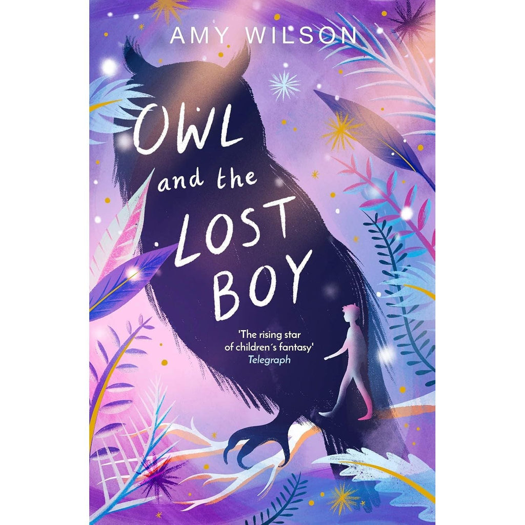 Amy Wilson Collection 4 Books Set (Shadows of Winterspell, Snowglobe, Owl and the Lost Boy and A Far Away Magic)