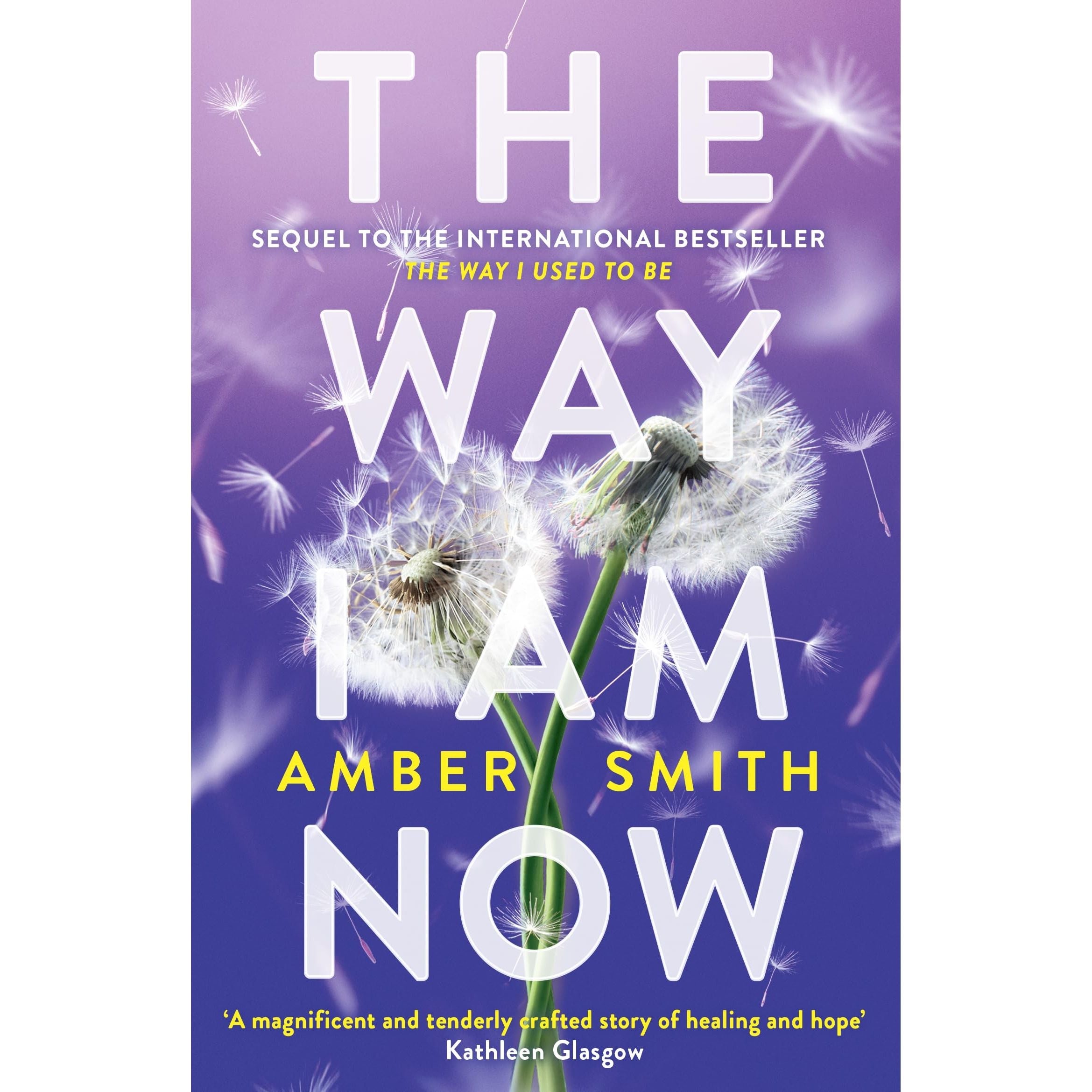 The Way I Am Now: Amber Smith (The Way I Used to Be)