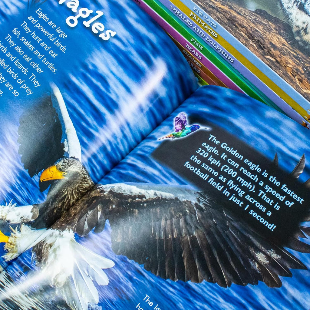 Children Introduction To Nature For Beginners 10 Hardback Books Collection Set (Bear, Big Cats, Birds, Crocodiles And Alligators)