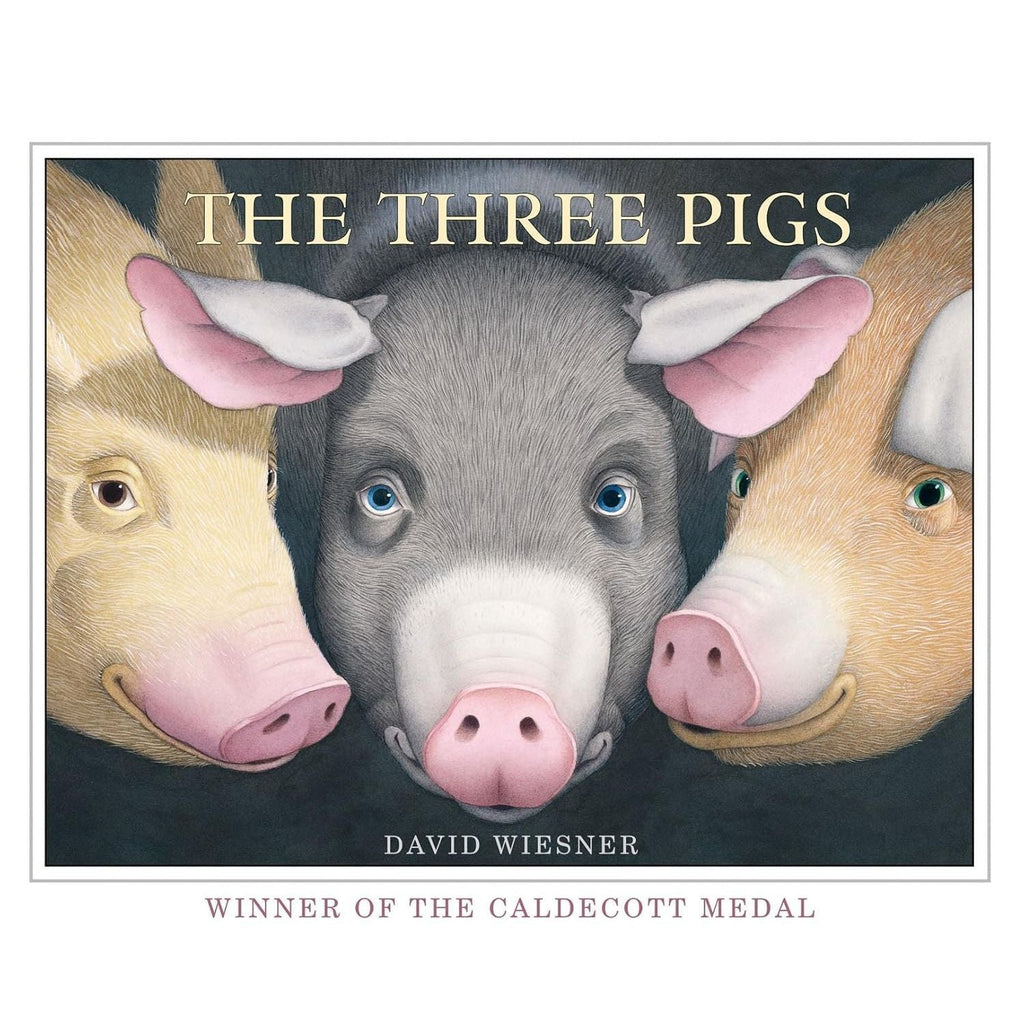 David Wiesner Collection 6 Books Set (The Three Pigs, Tuesday, Art and Max, Mr Wuffles, Flotsam and I Got It!)