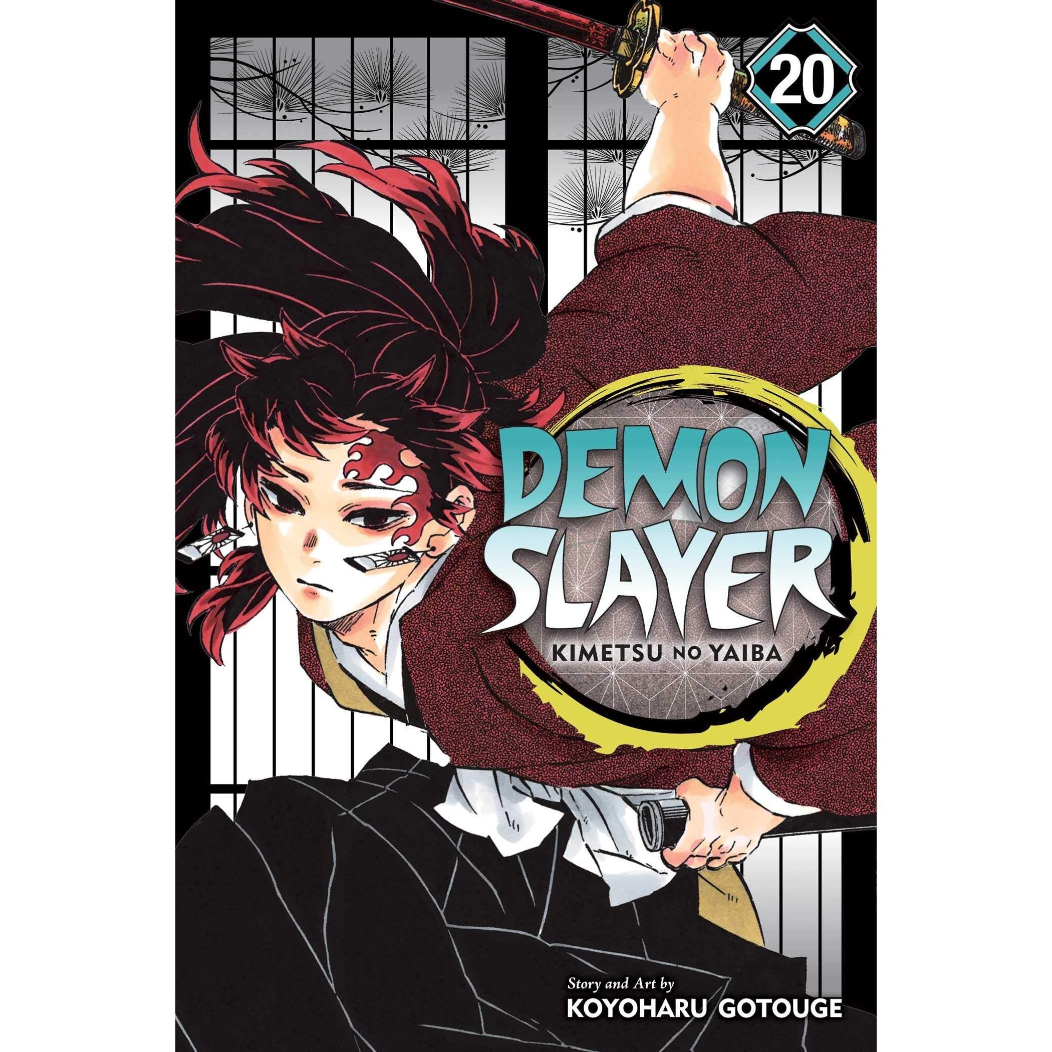 Demon Slayer: Kimetsu no Yaiba, Vol. 20: Volume 20