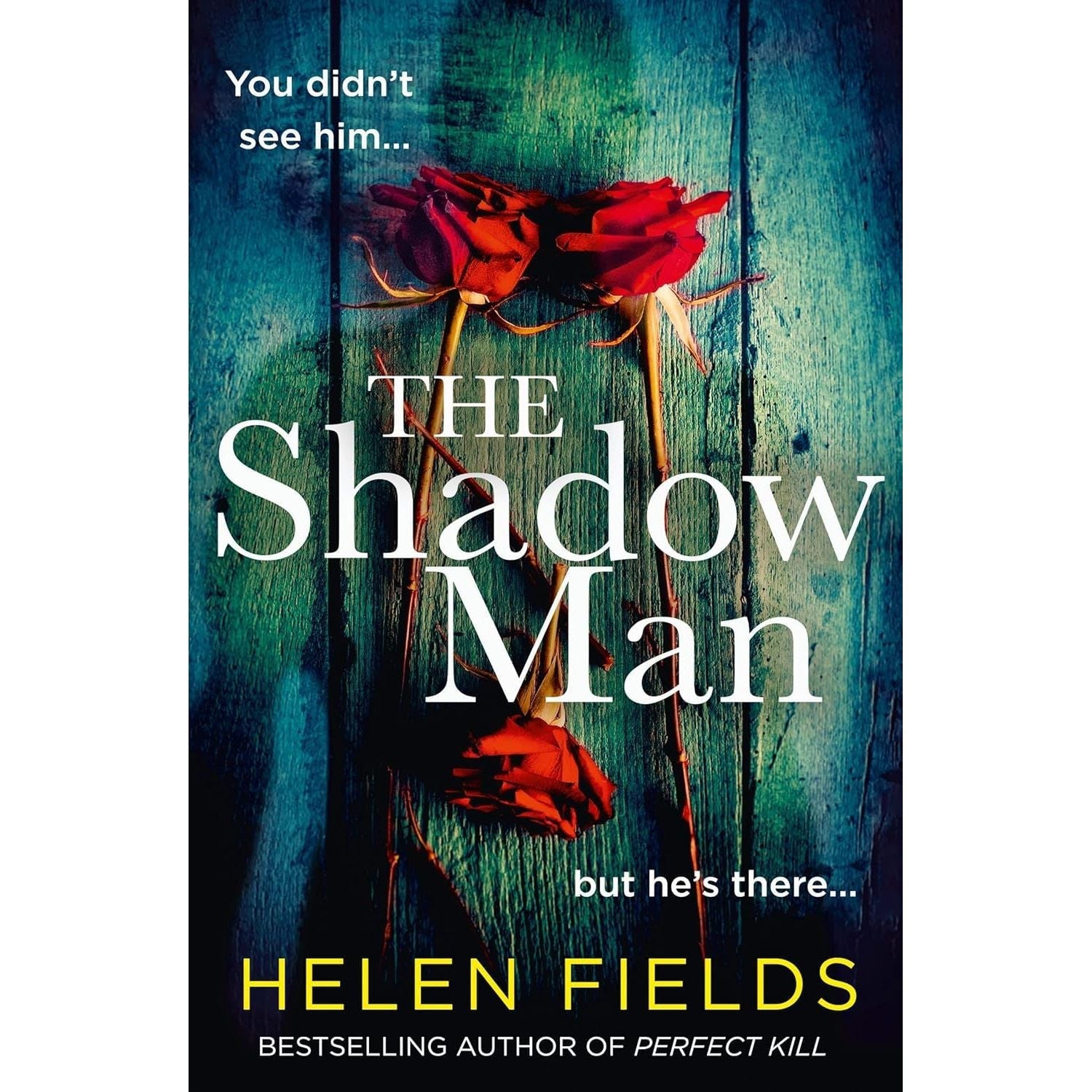 Connie Woolwine Series 2 Books Collection Set by Helen Fields (The Shadow Man and The Institution)
