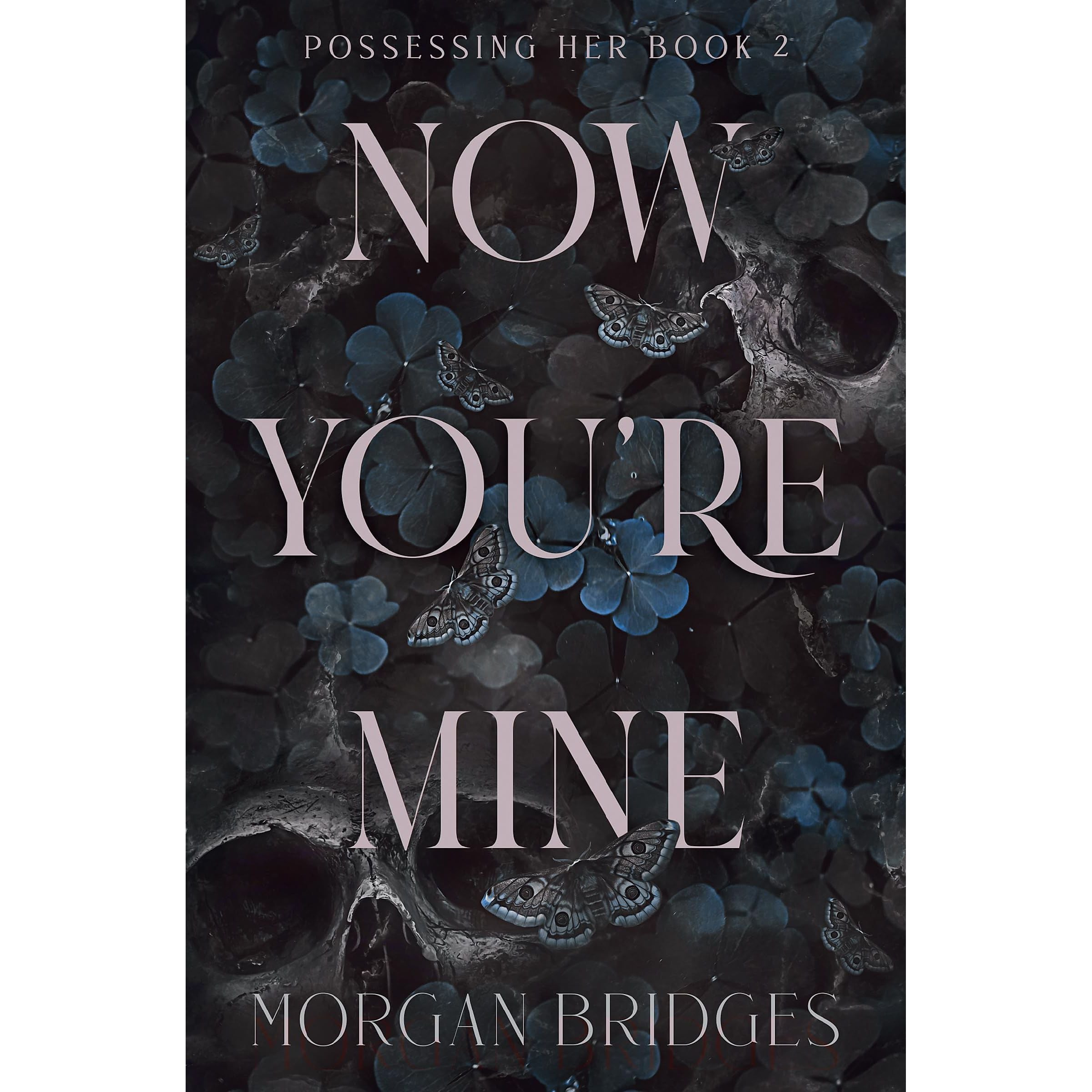 Now You're Mine: The viral dark stalker romance everyone is talking about!
