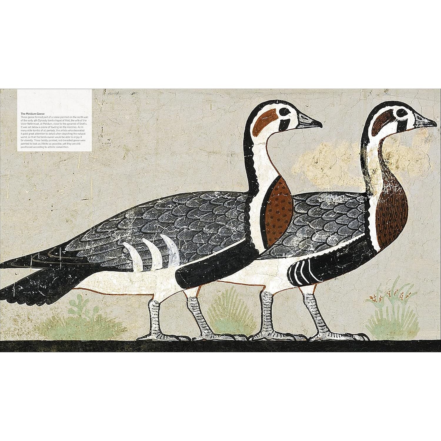 Ancient Egypt: The Definitive Visual History by DK Hardcover