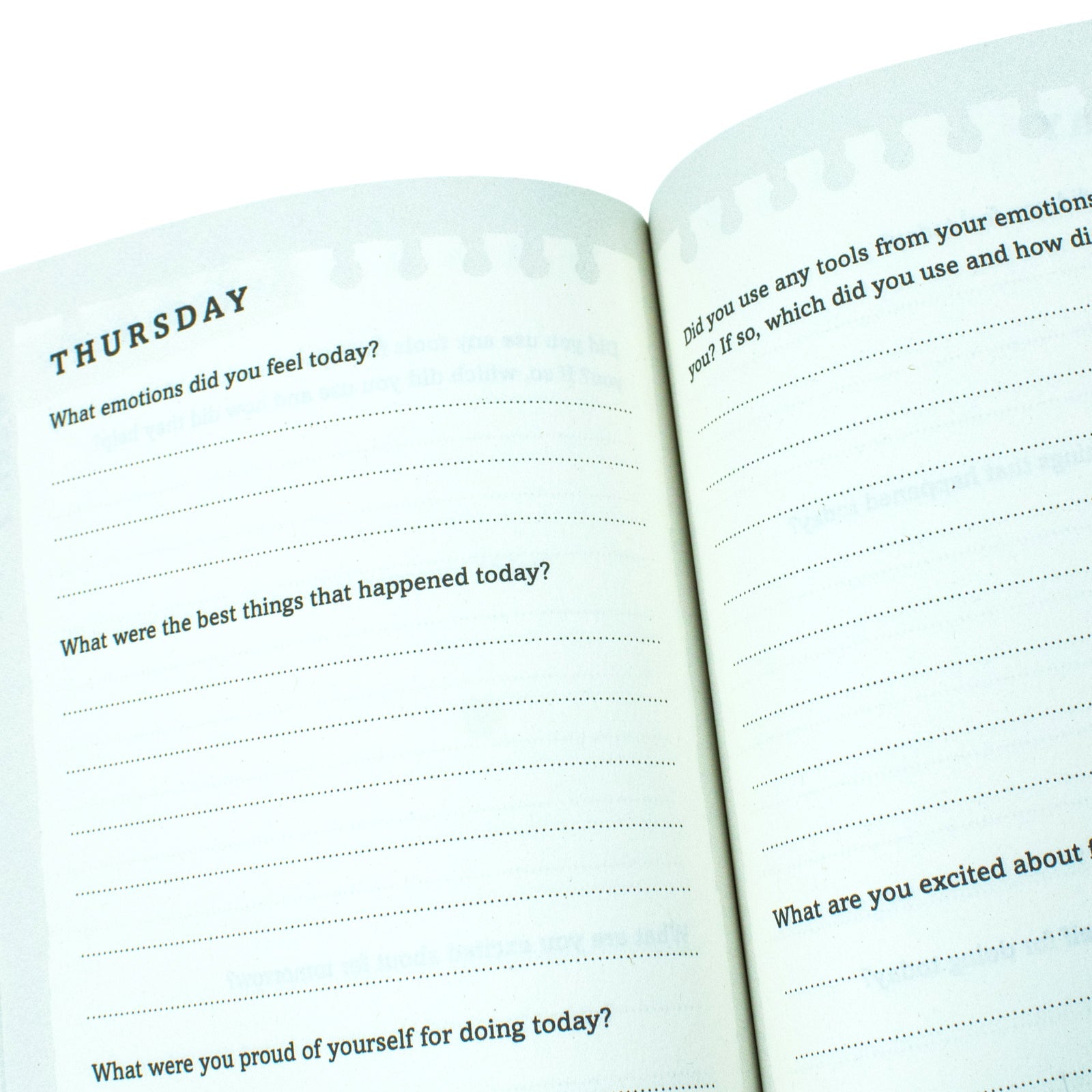 Manifest for Kids: Four steps to being the best you by Roxie Nafousi