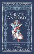 Gray's Anatomy (Barnes & Noble Collectible Editions) by Henry Gray