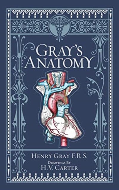 Gray's Anatomy (Barnes & Noble Collectible Editions) by Henry Gray