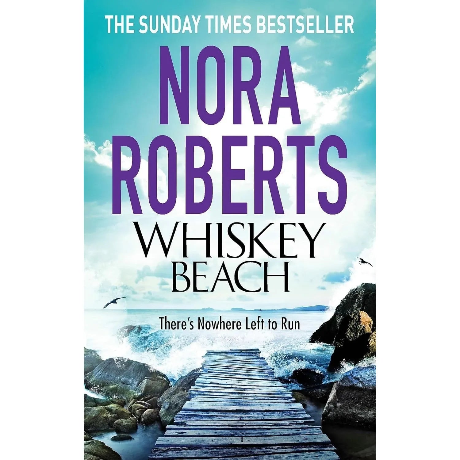 Nora Roberts 5 Books Collection Set (Whiskey Beach, The Witness, The Liar, The Collector, Chasing Fire)