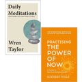 Daily Meditations By Wren Taylor, Practising The Power Of Now By Eckhart Tolle 2 Books Collection Set