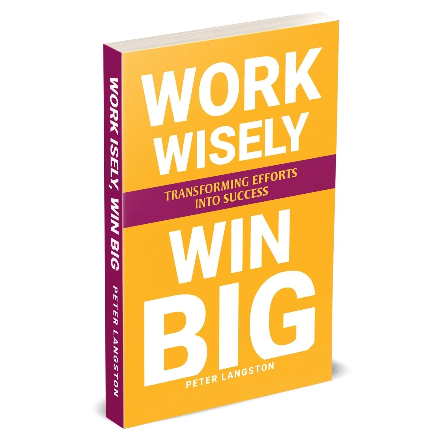 WORK WISELY, WIN BIG: Transforming Efforts Into Success by Peter Langston