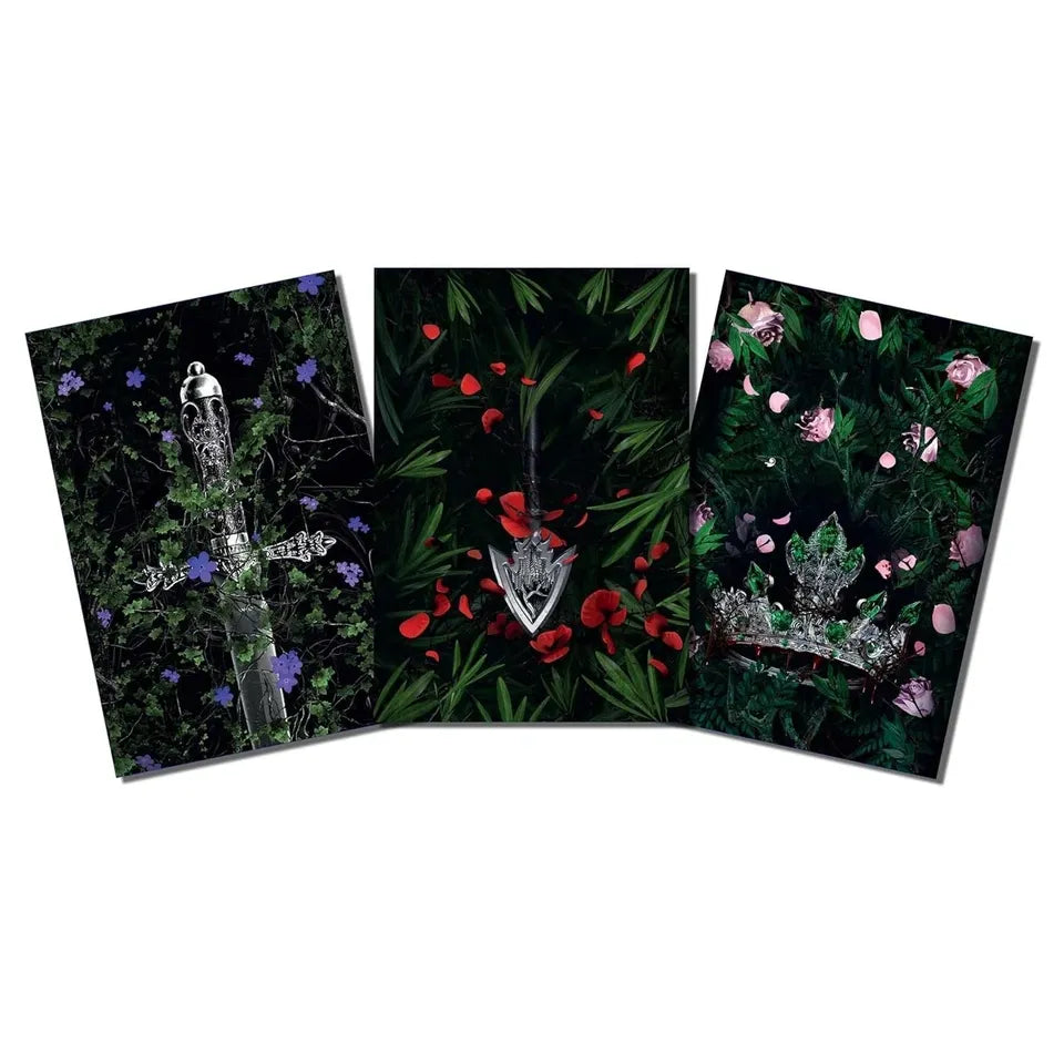 Lauren Roberts: Powerless Trilogy Notebook Boxed Set (Set of 3)