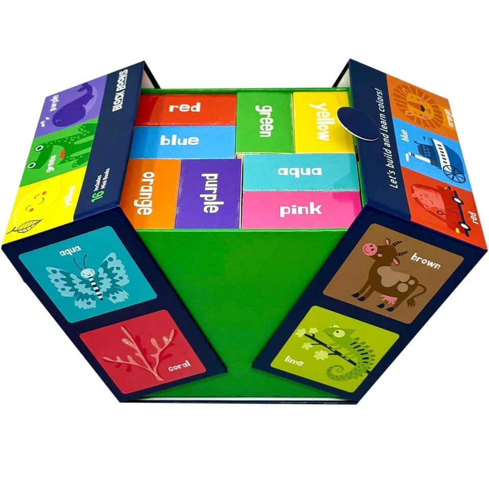 Children’s Colour Fun Learning 16 Mini Books Collection Box by Lake Press