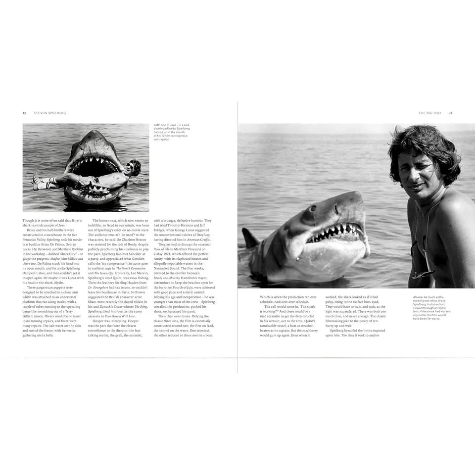 Steven Spielberg: His Work (Iconic Filmmakers Series) by Ian Nathan