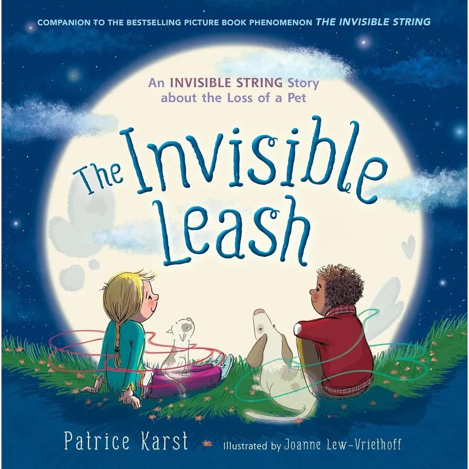 Invisible String Series 1-4 Books Set by Patrice Karst
