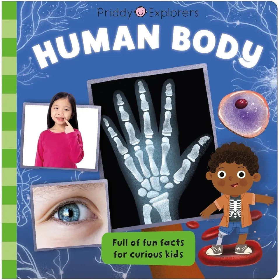 Priddy Explorers Series 8 Books Collection Set by Priddy Books, Roger Priddy (Space, Sharks, Dinosaurs, Human Body, Bugs and Slugs, Volcanoes Rocks and Minerals, Mega Machines, Predators)
