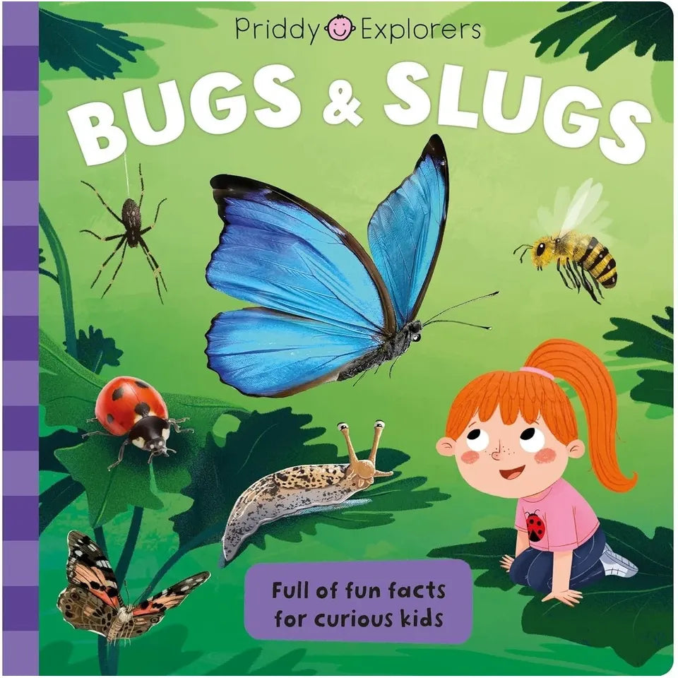 Priddy Explorers Series 8 Books Collection Set by Priddy Books, Roger Priddy (Space, Sharks, Dinosaurs, Human Body, Bugs and Slugs, Volcanoes Rocks and Minerals, Mega Machines, Predators)