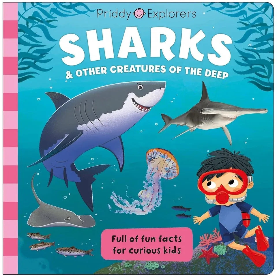 Priddy Explorers Series 8 Books Collection Set by Priddy Books, Roger Priddy (Space, Sharks, Dinosaurs, Human Body, Bugs and Slugs, Volcanoes Rocks and Minerals, Mega Machines, Predators)