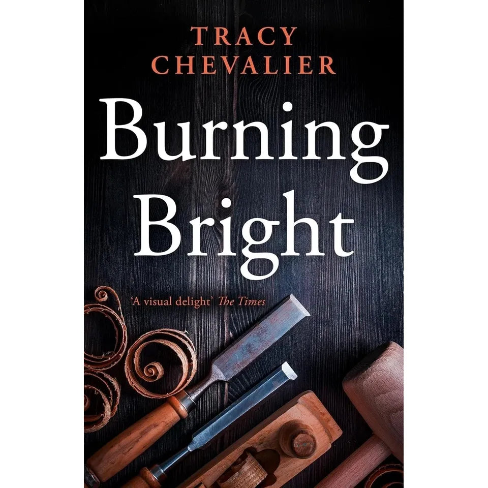 Tracy Chevalier Collection 4 Books Set(Remarkable Creatures, Falling Angels, The Virgin Blue & Burning Bright)