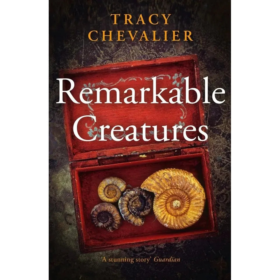 Tracy Chevalier Collection 4 Books Set(Remarkable Creatures, Falling Angels, The Virgin Blue & Burning Bright)
