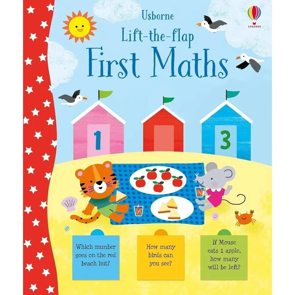 Lift the flap Series 13 Books Collection Set(First Maths,Nature,My Day,Numbers)
