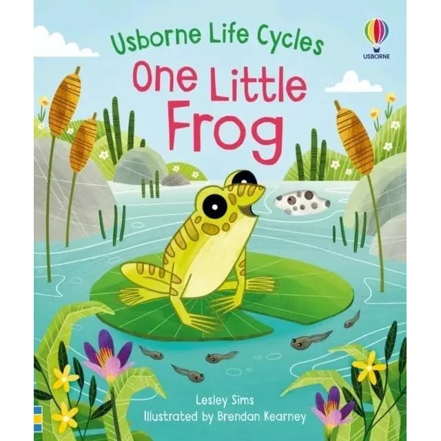 Usborne Life Cycles Collection 7 Books Set by Lesley Sims(Seed,Bee, Chick , Frog ,Tree,Butterfly & Raindrop)
