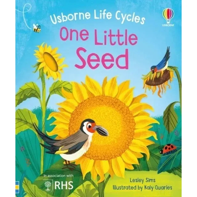 Usborne Life Cycles Collection 7 Books Set by Lesley Sims(Seed,Bee, Chick , Frog ,Tree,Butterfly & Raindrop)