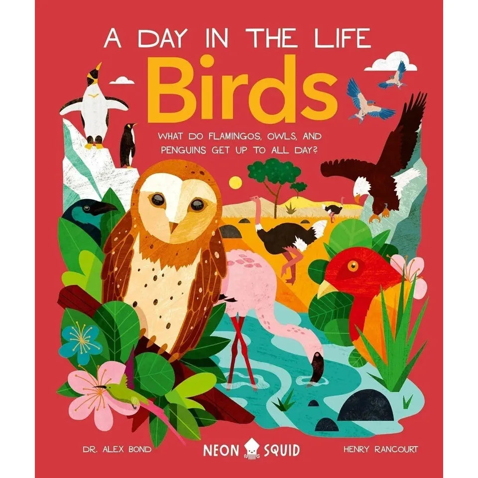 A Day in the Life Series 8 Books Collection Set (Bugs, Big Cats, Sharks, Horses, Birds, Frogs, Bears, Snakes)