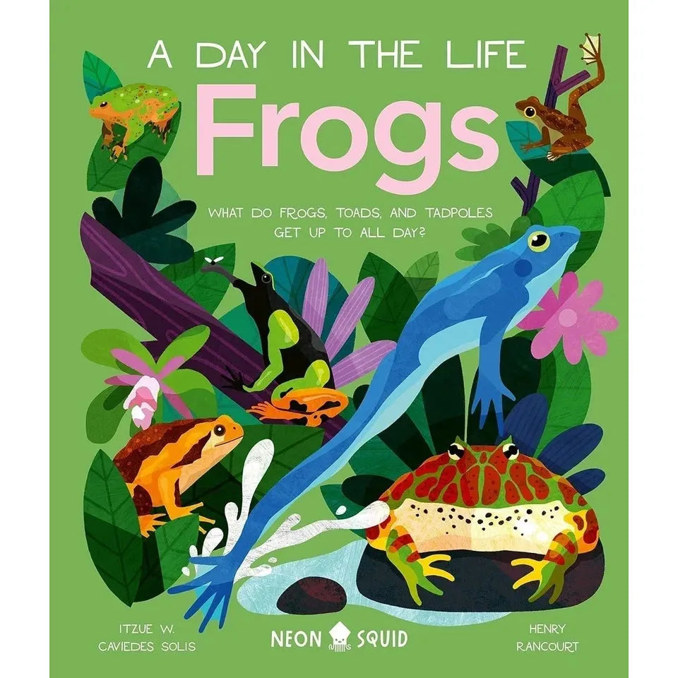 A Day in the Life Series 8 Books Collection Set (Bugs, Big Cats, Sharks, Horses, Birds, Frogs, Bears, Snakes)