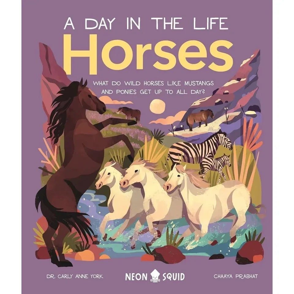 A Day in the Life Series 8 Books Collection Set (Bugs, Big Cats, Sharks, Horses, Birds, Frogs, Bears, Snakes)