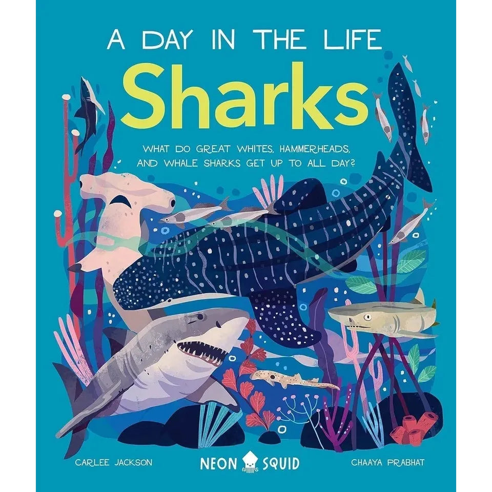 A Day in the Life Series 8 Books Collection Set (Bugs, Big Cats, Sharks, Horses, Birds, Frogs, Bears, Snakes)