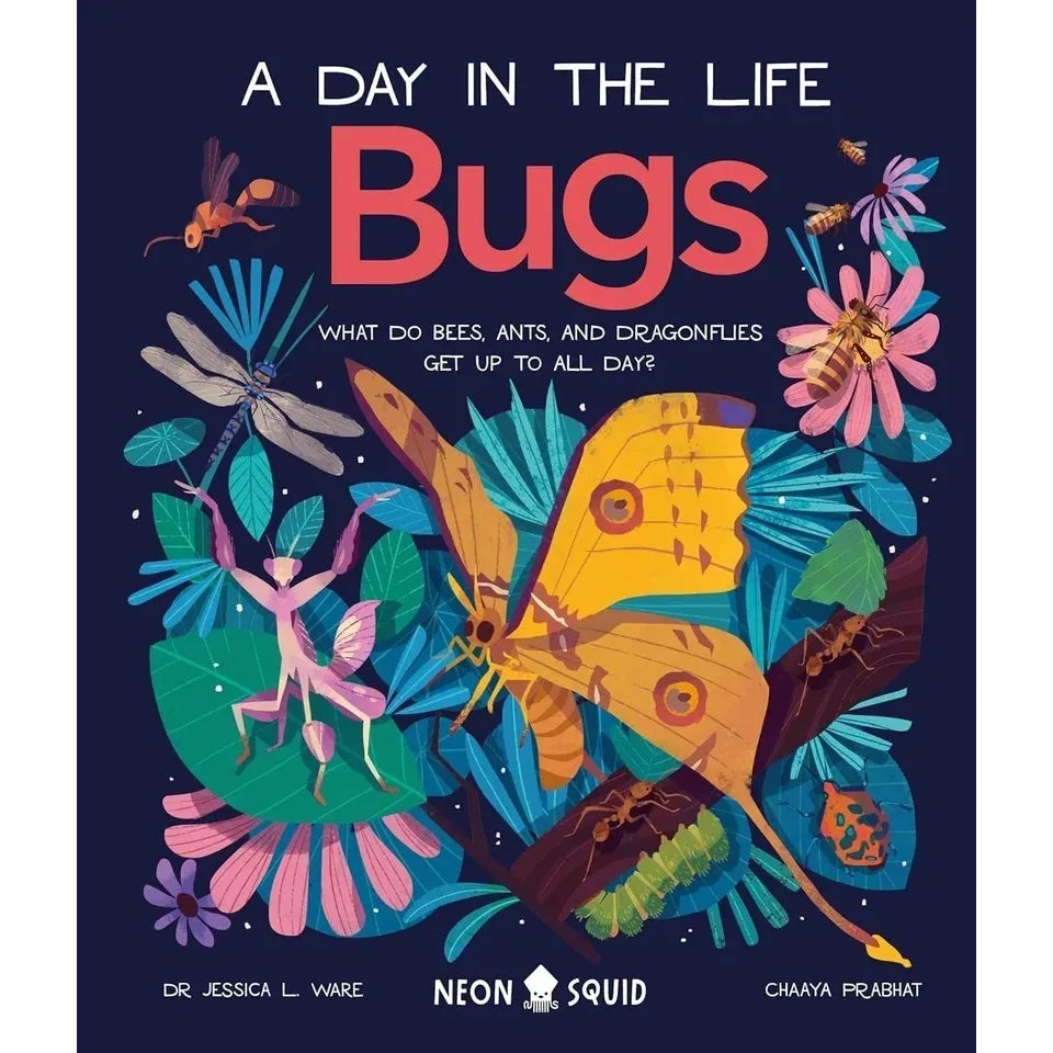 A Day in the Life Series 8 Books Collection Set (Bugs, Big Cats, Sharks, Horses, Birds, Frogs, Bears, Snakes)