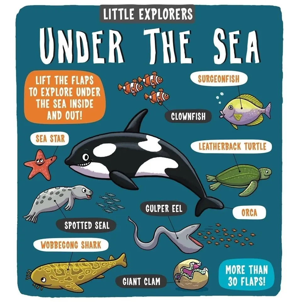 Little Explorers Series 7 Books Collection Set (Food, Weather, Science, Maths, Under the Sea, My Amazing Body and When I Grow Up)