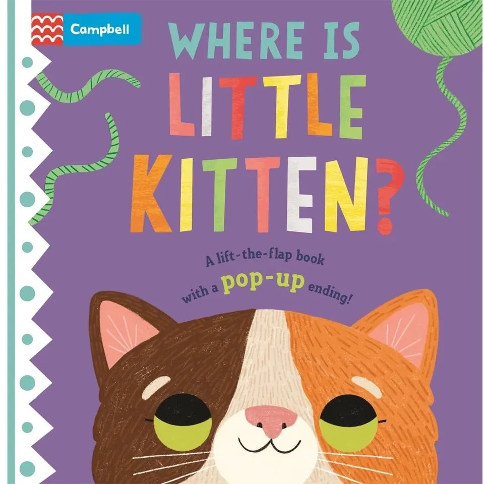 Where is Little... Series 4 Books Collection Set By Campbell Books (Where is Little Elephant?, Where is Little Tiger? & More)
